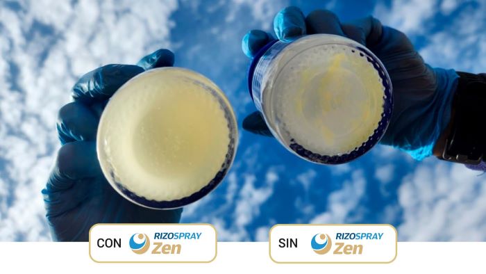 Mezcla con Rizospray Zen vs. Mezcla sin Rizospray Zen