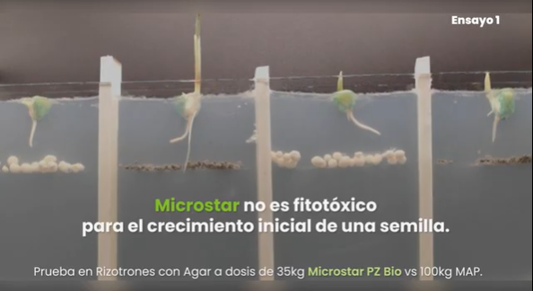 Microstar